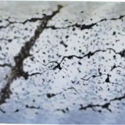 Promed Schuurrolletje Nagelfrees ZEBRA # 240, 100 Stuks Voor Mandrel. Vervangt Handmatig Vijlen Van Acryl Nagels & Gel Nagels. 7 Promed Schuurrolletje Nagelfrees ZEBRA # 240, 100 Stuks Voor Mandrel. Vervangt Handmatig Vijlen Van Acryl Nagels & Gel Nagels. -Lanaform Shop 550x311 2